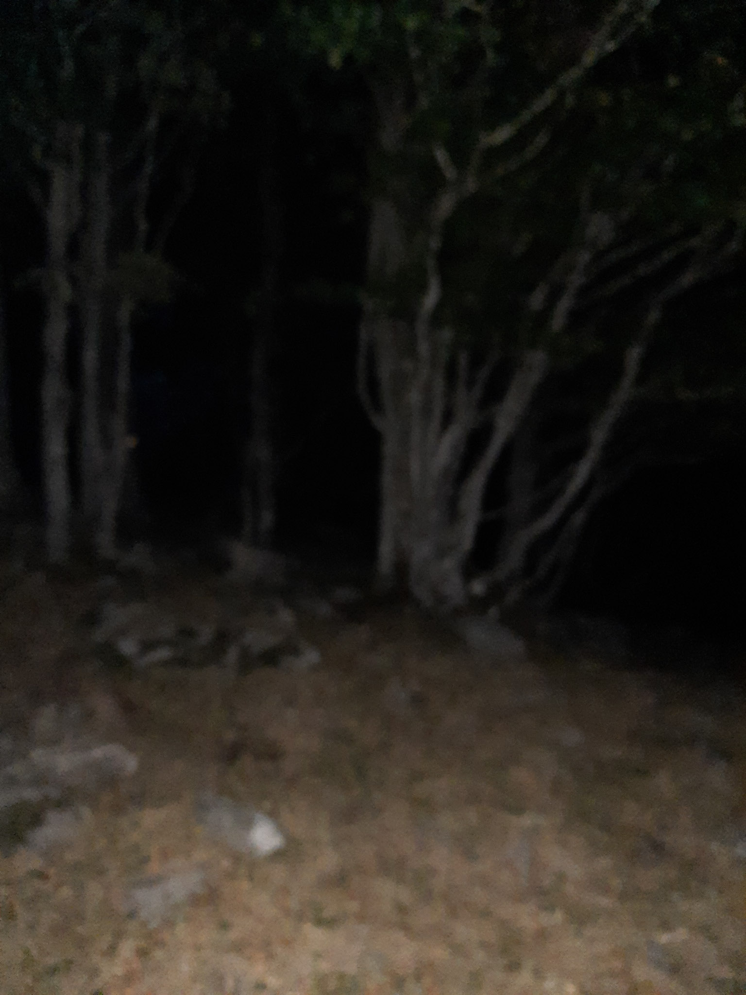 20220813213409 20220813 213409